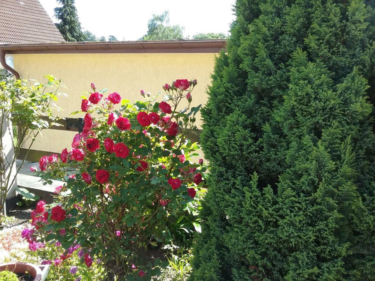 Sellin Haus Granitzアパートメント エクステリア 写真